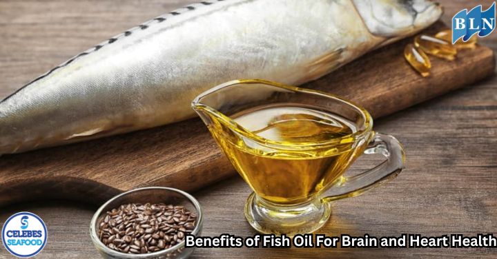 Benefits of Fish Oil For Brain and Heart Health